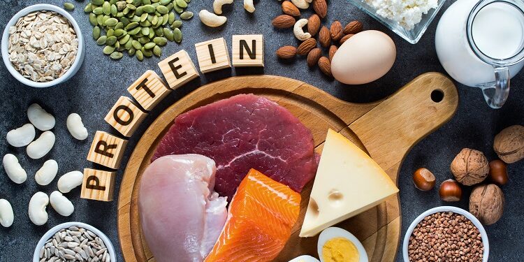 Is a high-protein diet damaging to brain health?