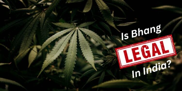 Is Bhang Legal in India? Know the Facts and Traditions– The Trost
