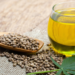 Is Hemp Seed Oil Legal in India?