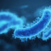 Nimble Science builds on small intestine sampling for microbiome research