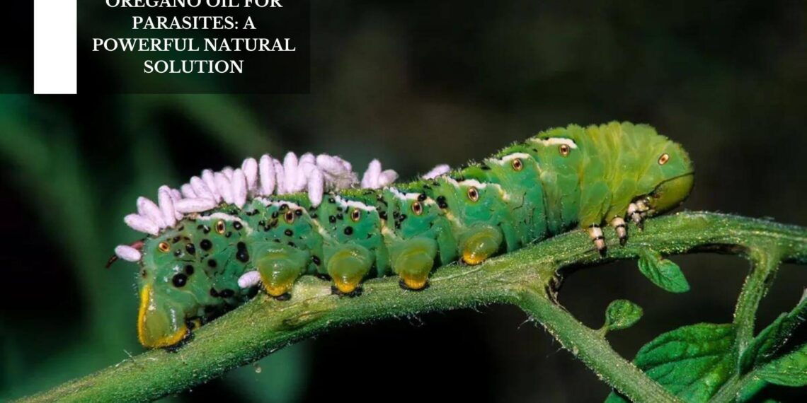 A Powerful Natural Solution
– Moksha Lifestyle Products