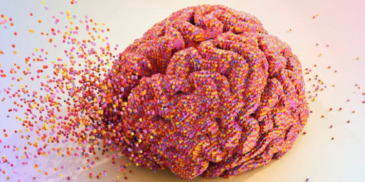 Review explores creatine as cognitive enhancer