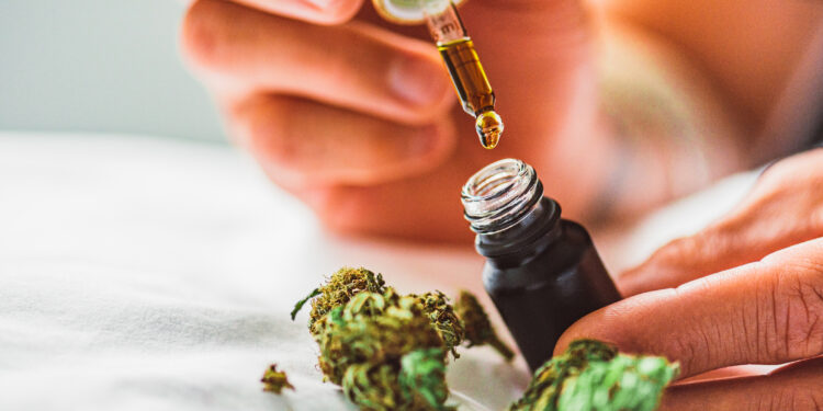 Review highlights cannabinoids’ therapeutic potential in gastrointestinal dysfunction