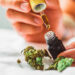 Review highlights cannabinoids’ therapeutic potential in gastrointestinal dysfunction