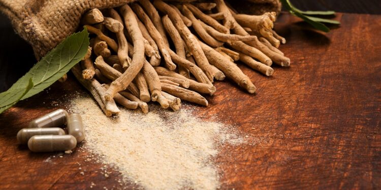 Review reveals benefits of ashwaganda on ‘inflammaging’