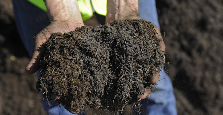 The potential of soil-derived microbiota for immune regulation