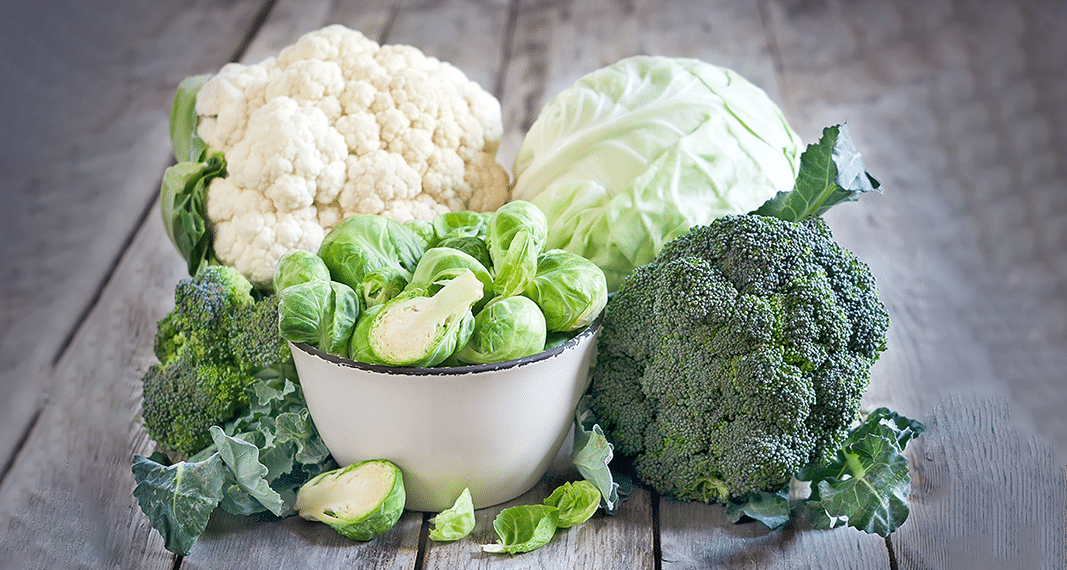 Cancer & the CB2 Receptor