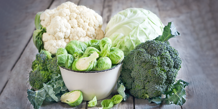 Cancer & the CB2 Receptor