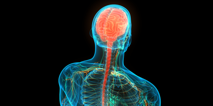 Mental Health & the CB2 Receptor