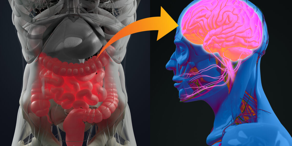 APC and Kerry Group explore new gut-brain concepts