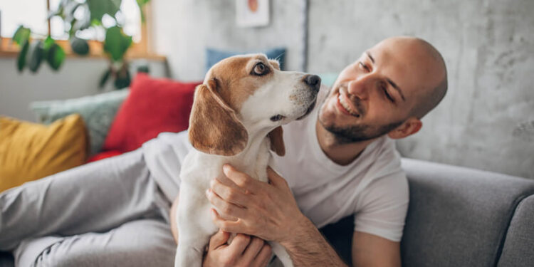 Can a peptide induce weight loss in dogs?