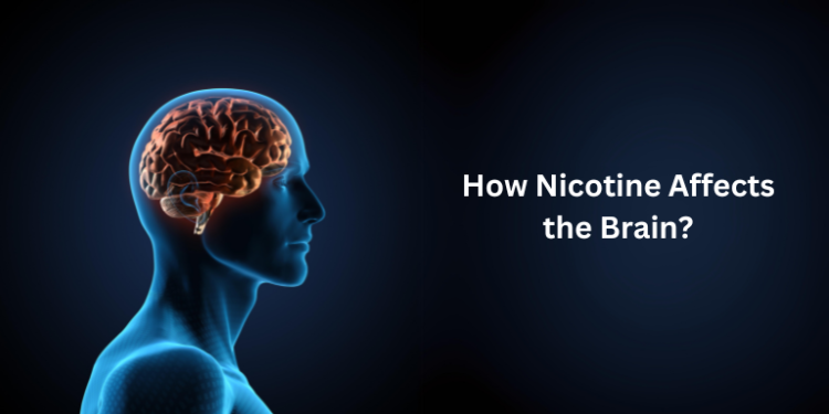 How Nicotine Affects the Brain