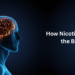 How Nicotine Affects the Brain
