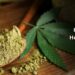 How to Eat Hemp Protein