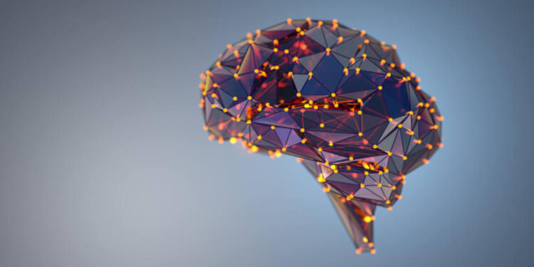 Multi-strain probiotic combination may boost cognitive and emotional function