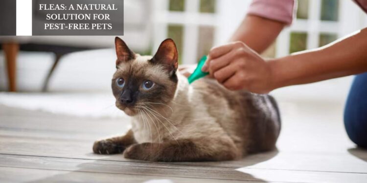 A Natural Solution For Pest-Free Pets
– Moksha Lifestyle Products