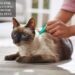 A Natural Solution For Pest-Free Pets
– Moksha Lifestyle Products