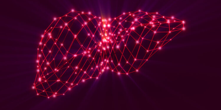 Probiotic-postbiotic combination may boost liver function