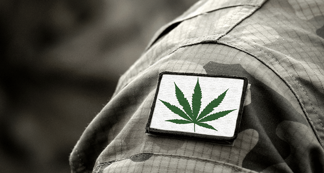 Three New Studies on Cannabis and PTSD
