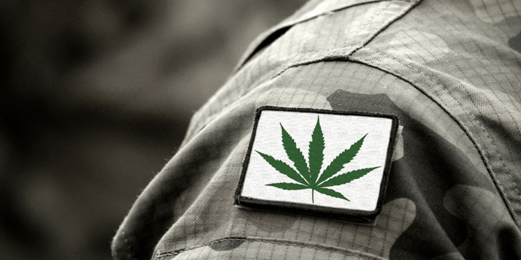 Three New Studies on Cannabis and PTSD