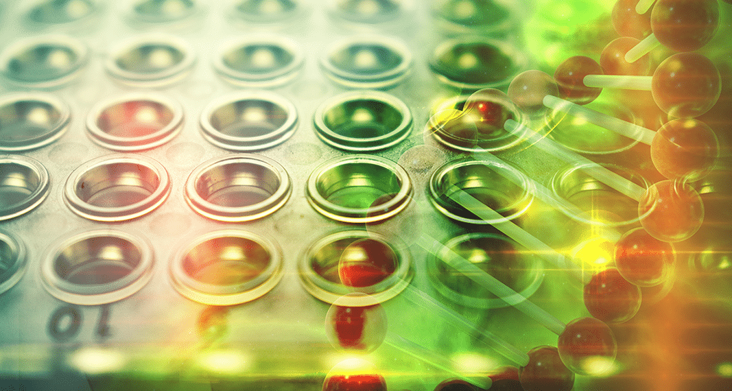 Cannabis & Immunotherapy for Cancer: Are They Compatible?