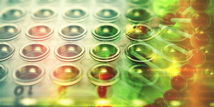 Cannabis & Immunotherapy for Cancer: Are They Compatible?