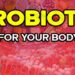 Unlock Your Best Health: The Power of Probiotics and Prebiotics!