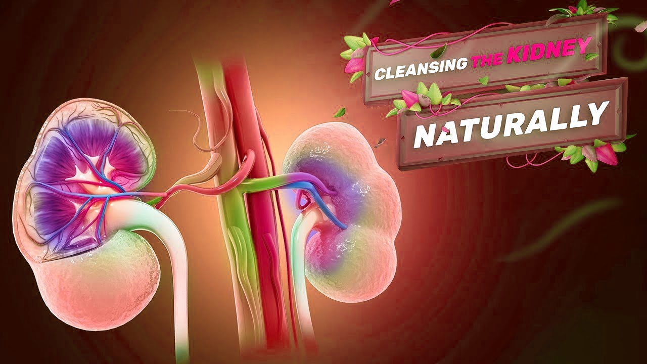 Renew Your Kidneys Naturally: Unlocking the Secrets to Optimal Kidney Health!