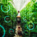 Brightseed-Botalys partnership on sustainably sourced bioactive botanicals