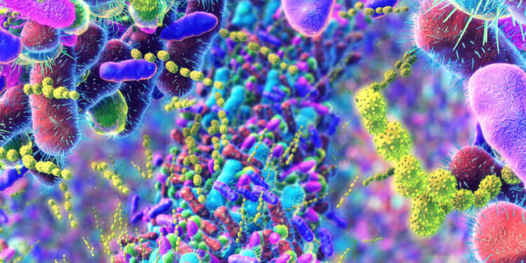 Dietitians strongly believe in probiotic & prebiotic benefits, says new survey, but need more guidance