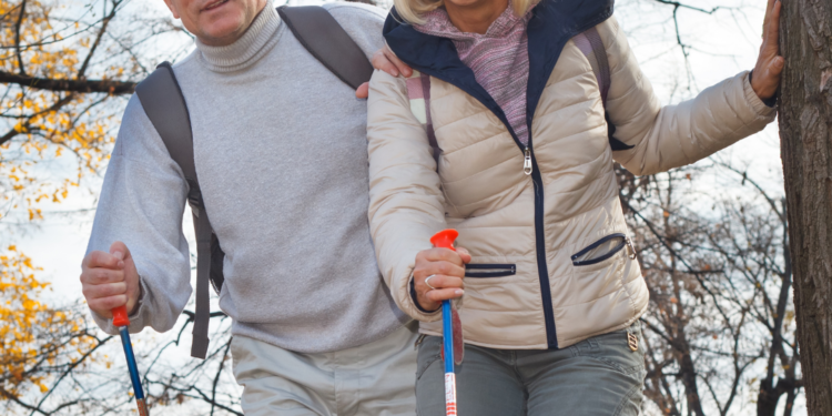 Disposable CBD Vape Pen | Bradford Wellness Co.