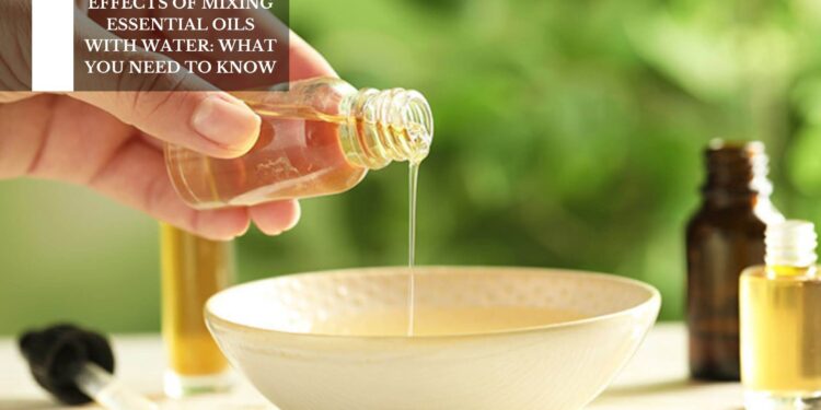 What You Need To Know
– Moksha Lifestyle Products