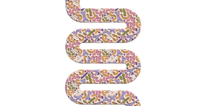 Fiber may boost vitamin B availability in the gut and support immunity