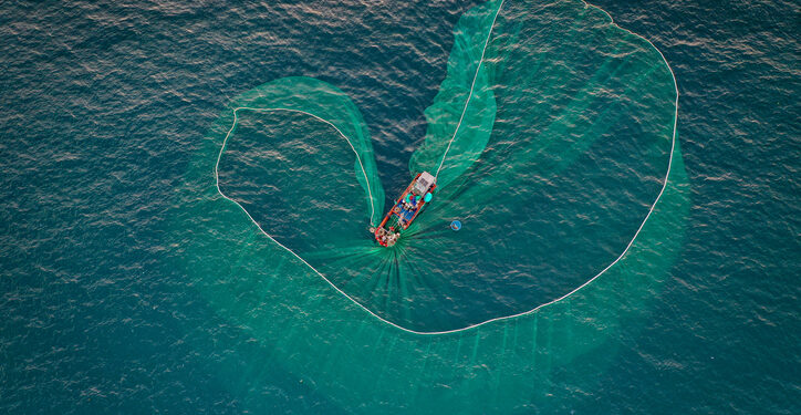 Omega-3 market sees modest growth amid supply challenges