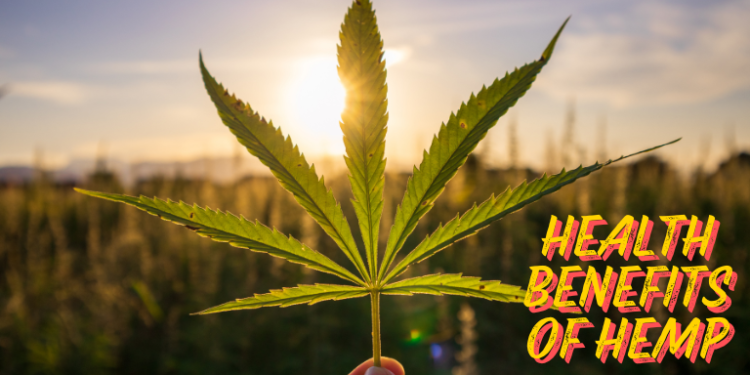 A Complete Guide– The Trost