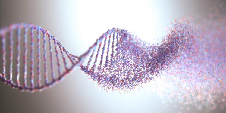 Low magnesium linked to increased DNA damage in healthy adults