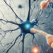 Study links dietary vitamin K with decreased neurofilament-light chain