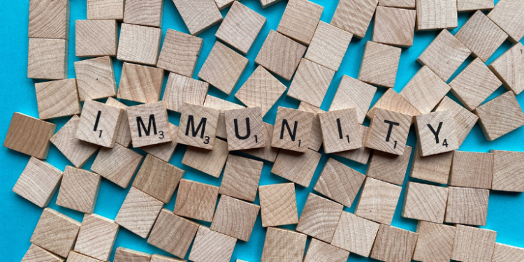 Hemp’s Role in Boosting Immunity– The Trost