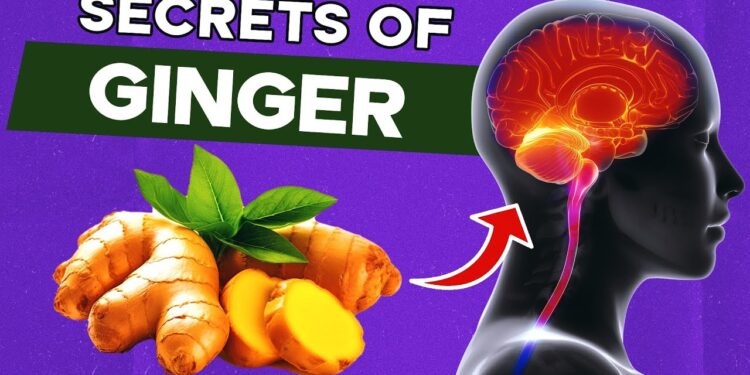 Improve Digestion, Fight Cancer & More: The Magic of Ginger