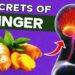 Improve Digestion, Fight Cancer & More: The Magic of Ginger