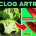 Foods that Cleanse Arteries & Promote Wellness