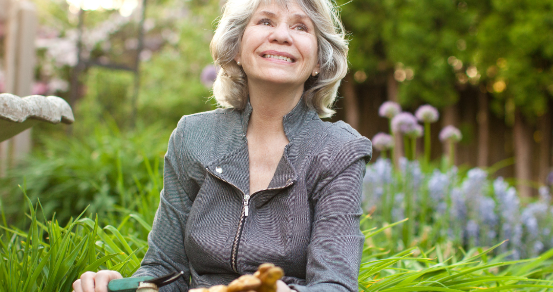 CBD Tinctures vs Edibles | Bradford Wellness Co.