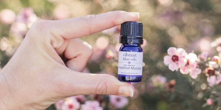 How Intestinal Mucosa Supports Probiotic Absorption