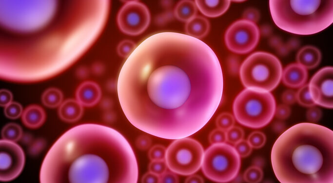 Novel flavonoid combination reduces oxidative stress: Study