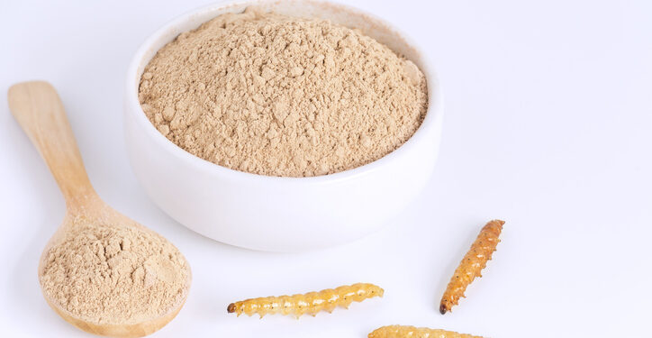 Proteine Resources receives €1.36 million investment for insect biotechnology