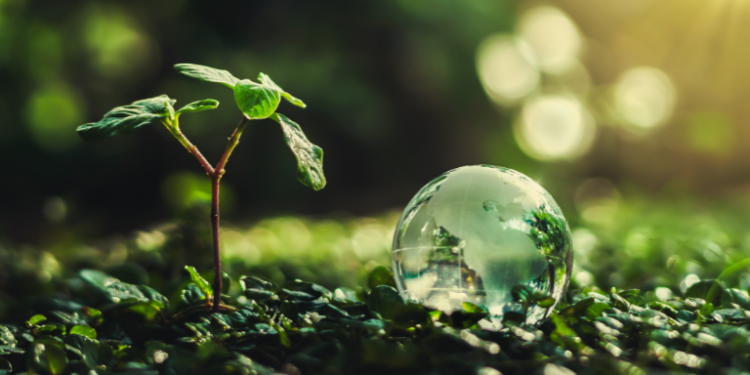 A Sustainable Solution– The Trost