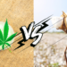 Why Hemp is the Eco-Friendlier Choice– The Trost