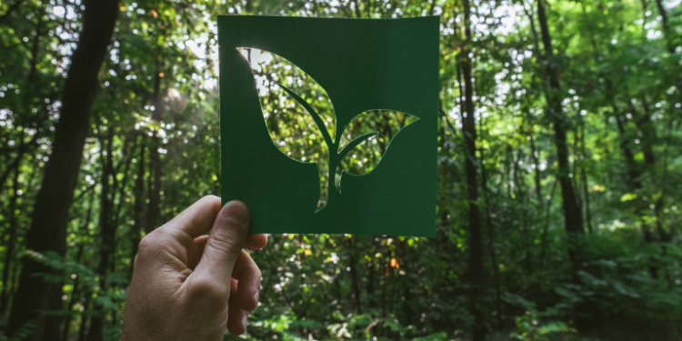 The Eco-Friendly Alternative for a Greener Future– The Trost