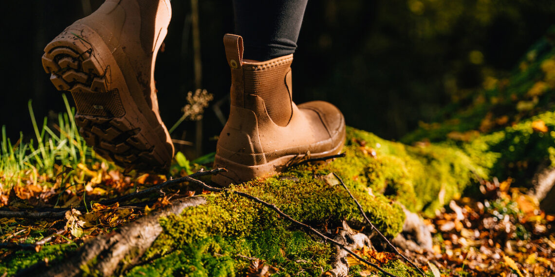 Why Rates of the Tickborne Disease Babesiosis Are on the Rise