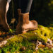 Why Rates of the Tickborne Disease Babesiosis Are on the Rise
